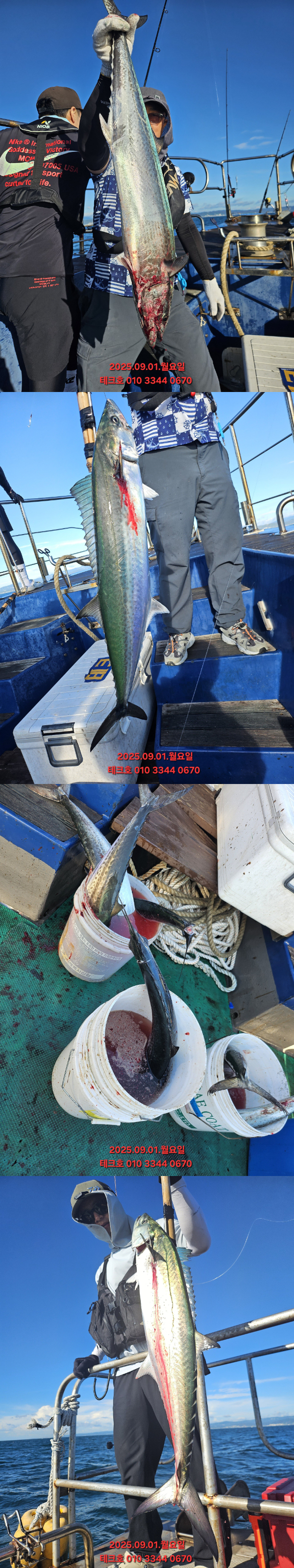KakaoTalk_20250901_121600721_12-vert.jpg