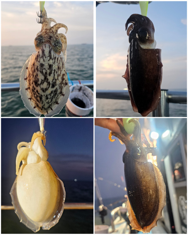KakaoTalk_20250927_182857896_09.jpg