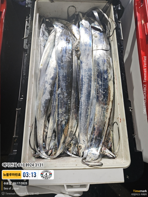 2025-09-17 03.13.34_Japan_(제목-뉴블루마린호)_(예약전화 010 8924 3131).jpg