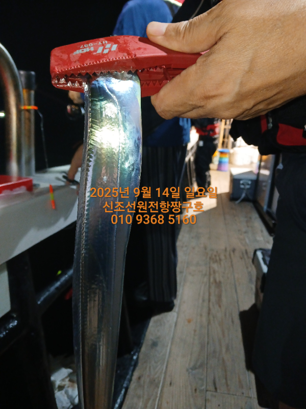 KakaoTalk_20250914_051923729.jpg