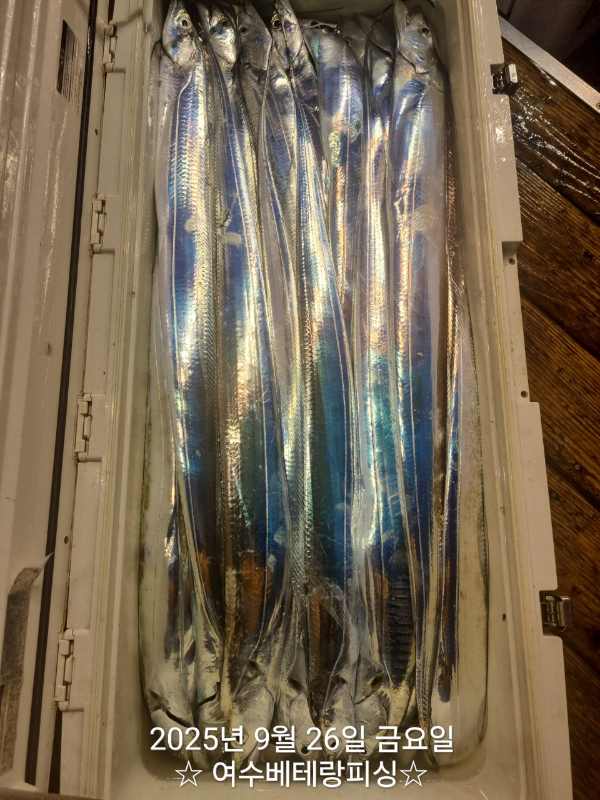 1000085908.jpg