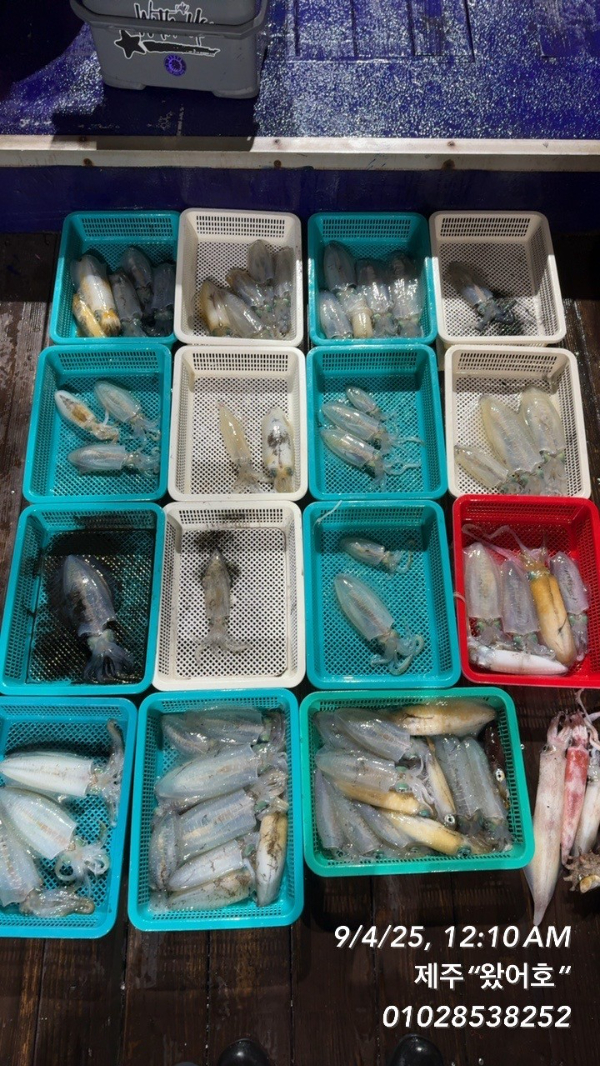 제주왔어호_사진_20250905_3.jpg