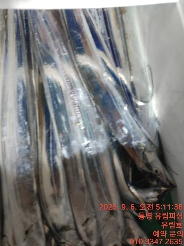 2001c81f41a8e8561a6571e50210e1fa.jpg