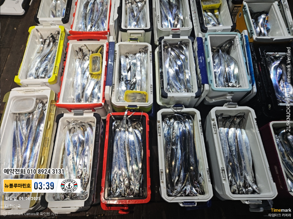 2025-09-09 03.39.43_대한민국_(제목-뉴블루마린호)_(예약전화 010 8924 3131).jpg