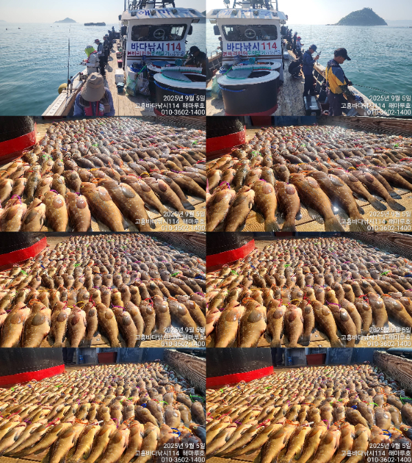 20e4f3d32b04053211097333471e1676.jpg