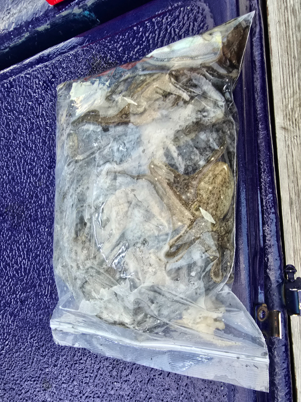 20250911_183612.jpg