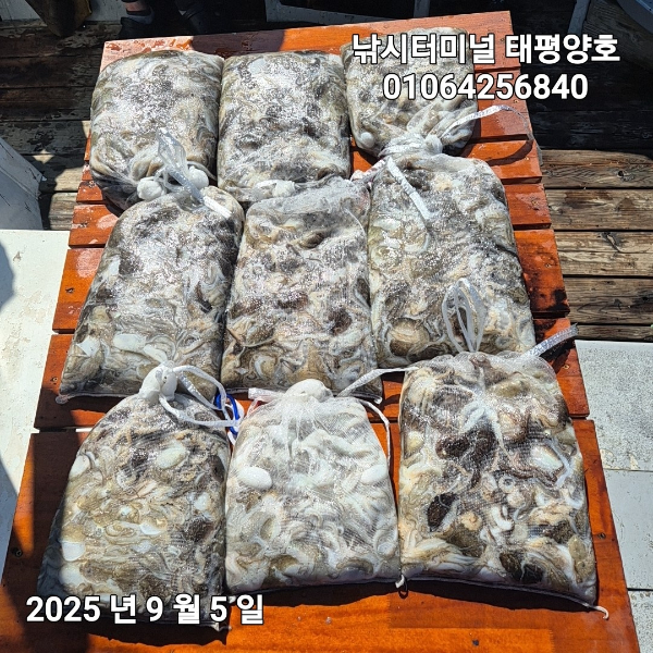 KakaoTalk_20250905_155213441_02.jpg