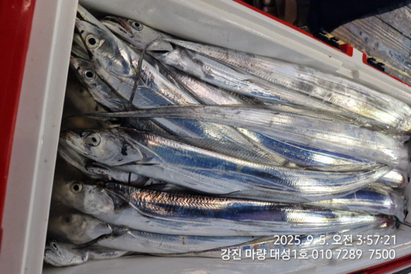 21f3bf3804ebd57a15c83f45812eb32f.jpg
