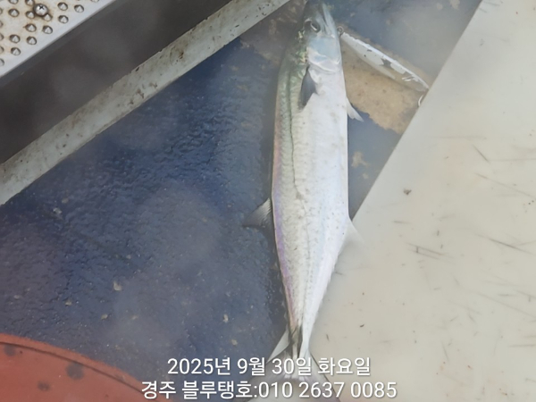20250930_070316.jpg