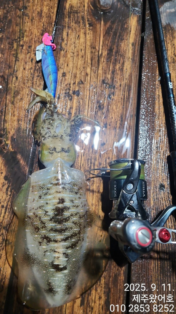 제주왔어호_사진_20250913_49.jpg