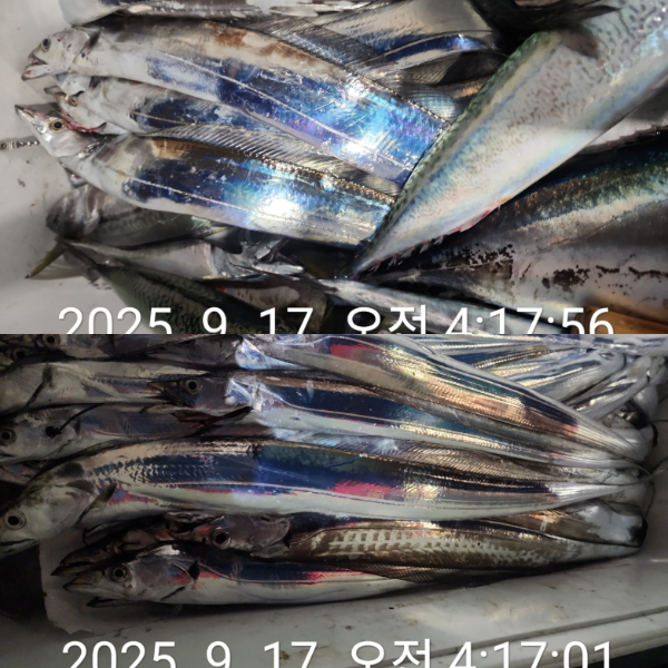 1000072348.jpg