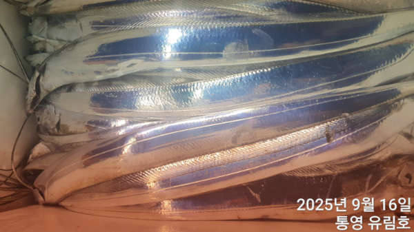 226cce4495ada27ac6b25ea18caeca40.jpg