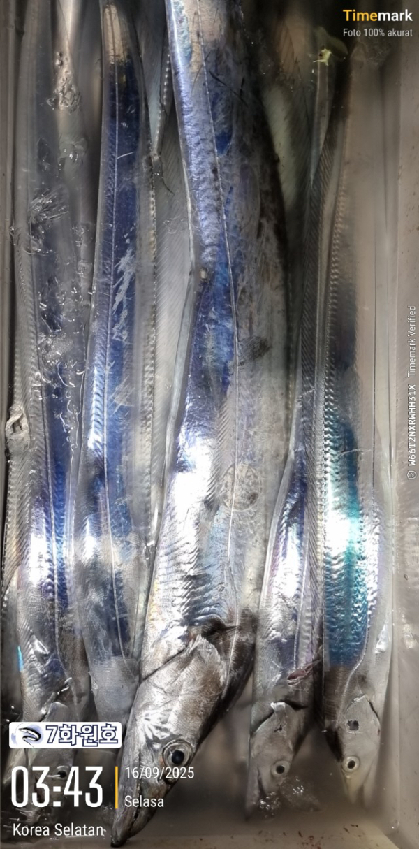 3FD3A24A-E634-43B4-BA3C-C255213B0FAF.jpeg
