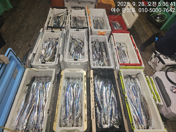 KakaoTalk_20250928_162921439_10.jpg