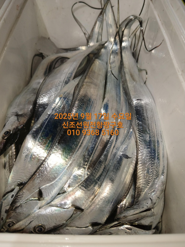 KakaoTalk_20250917_021017385_08.jpg