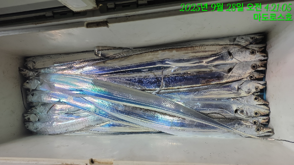 22c2ea79edc2270fe6309196876df549.jpg