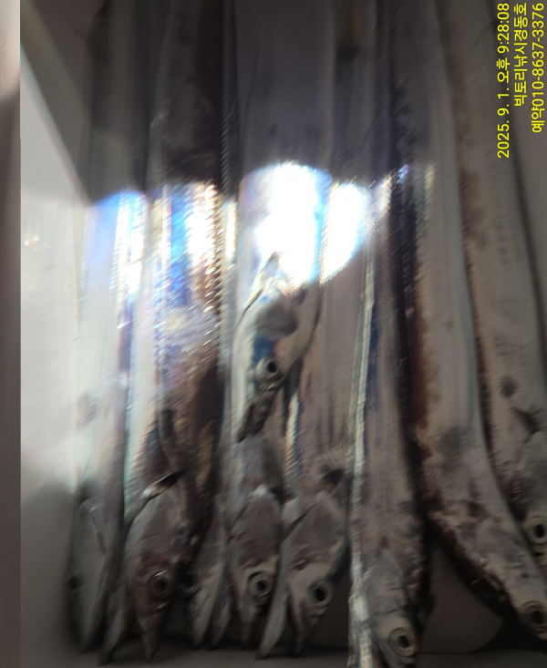 1756729939782.jpg
