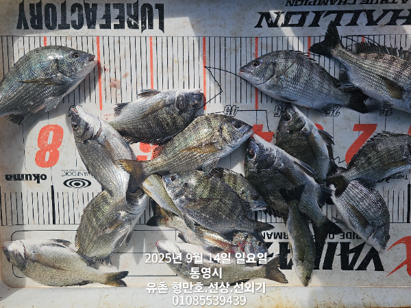 2360c56a48d57207f3517b7cf3ef92aa.jpg