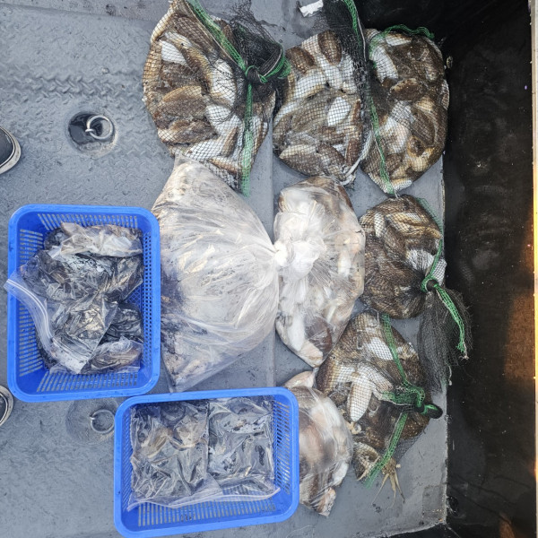 ꫛꫀꪝ✧‧˚ 태안 마검포 新출항호 .• _˚☀₊_사진_20250910_3.jpg