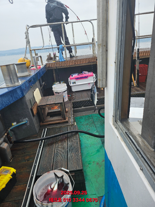 KakaoTalk_20250925_102446502.jpg