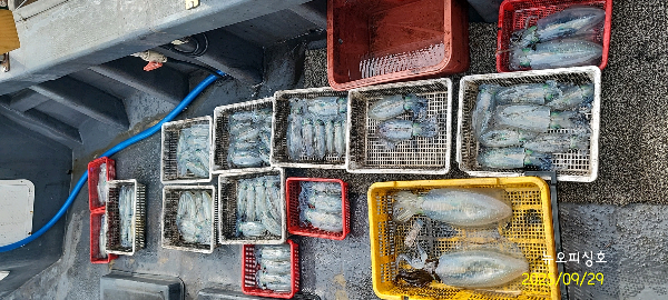 DateCamera0929100232.jpg