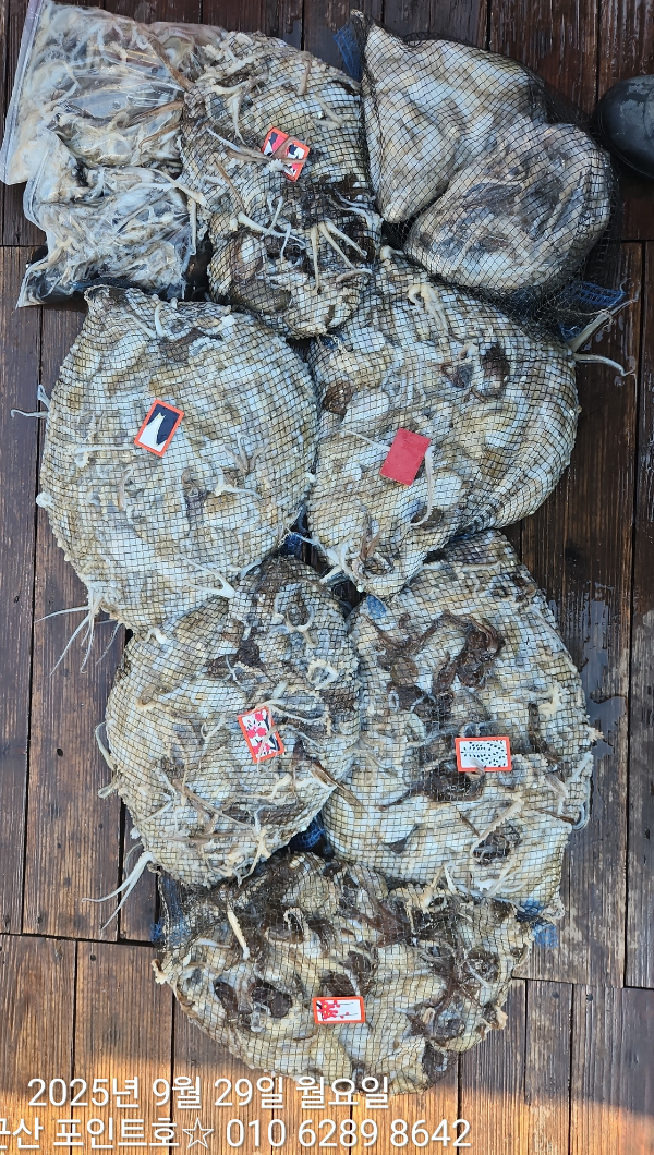 2567507c6410e63c97f426cf067f8507.jpg