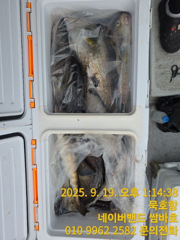 25f34ddd627dda9155fe8fed235d76b4.jpg