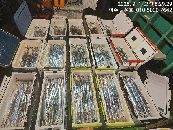 KakaoTalk_20250901_152431635_12.jpg