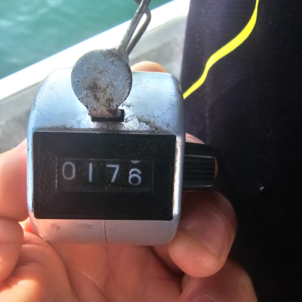 마검포 대한호(VIP)_사진_20250918_4.jpg