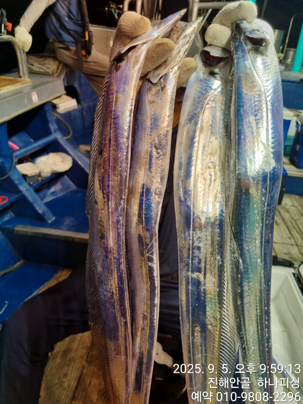 1000125035.jpg