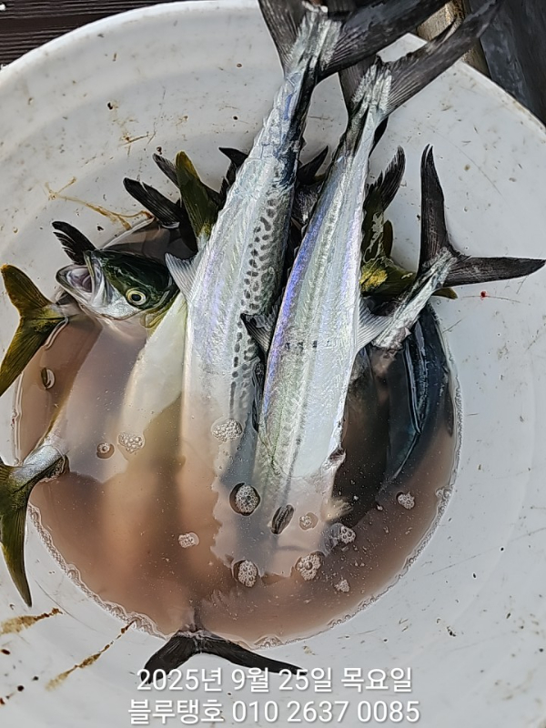 20250925_102819.jpg