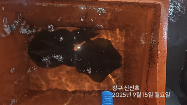 신신낚시 강구점 신신호_사진_20250915_13.jpg