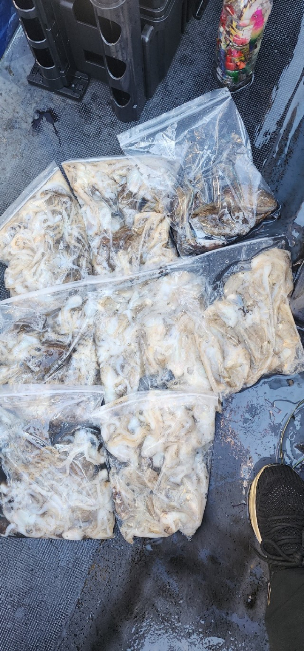 예지퀸호 농어외수질&어초낚시 경기인천권_사진_20250918_19.jpg