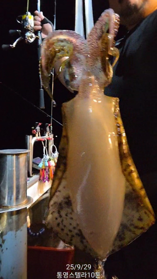 TimeVideo_20250929_213301.jpg