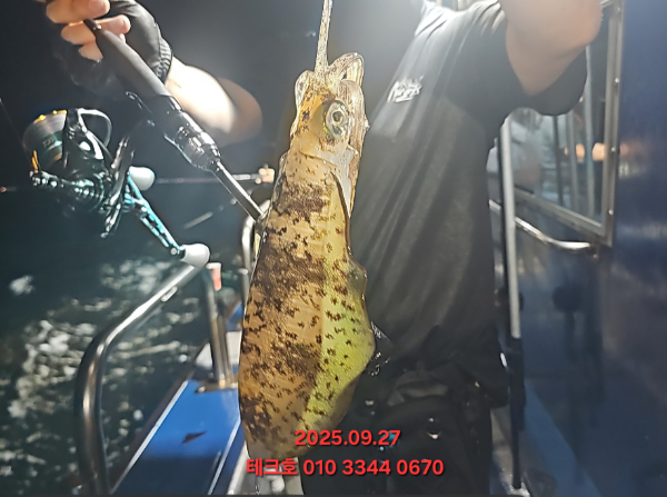 KakaoTalk_20250928_082601489_07.jpg