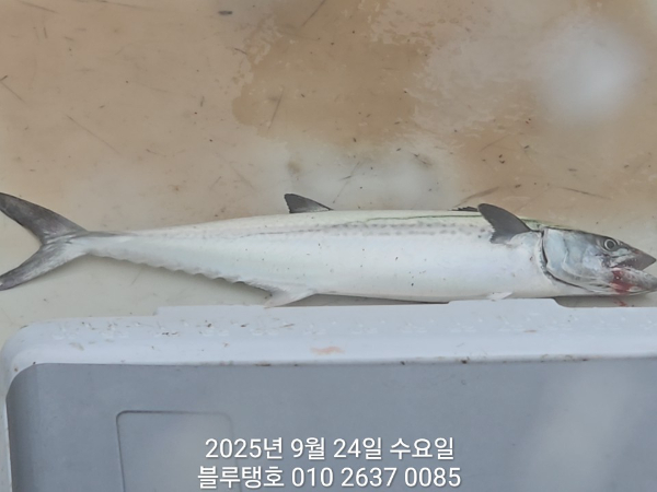 20250924_091232.jpg
