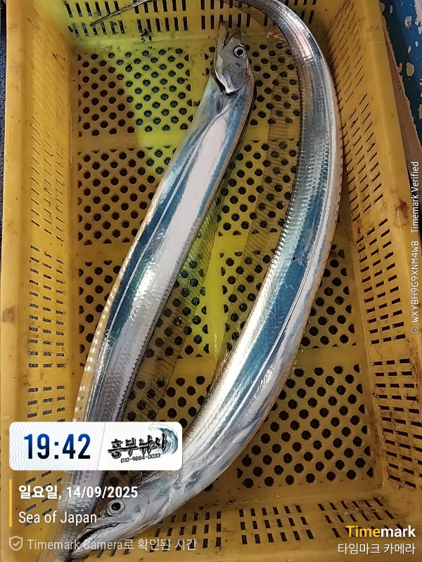 1757848029745.jpg