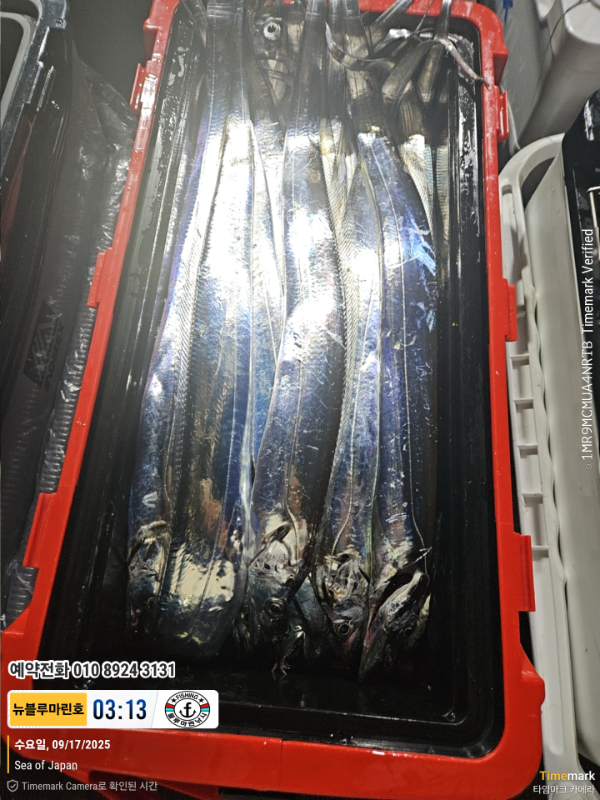 2025-09-17 03.13.37_Japan_(제목-뉴블루마린호)_(예약전화 010 8924 3131).jpg