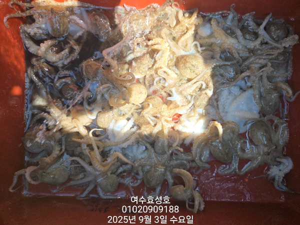 29dbe2c4c1b14d5efbd0c27f3bef6836.jpg