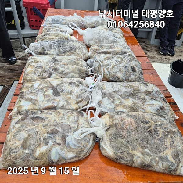KakaoTalk_20250915_161528817_02.jpg