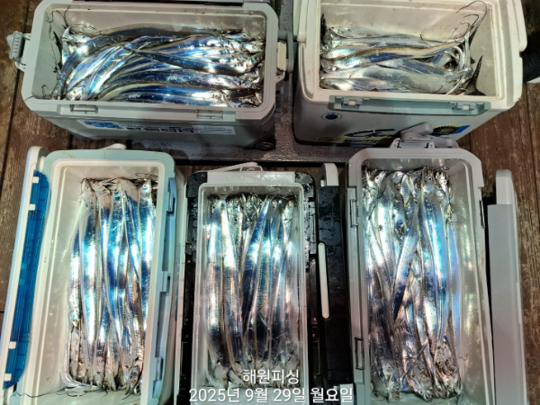 1000028110.jpg