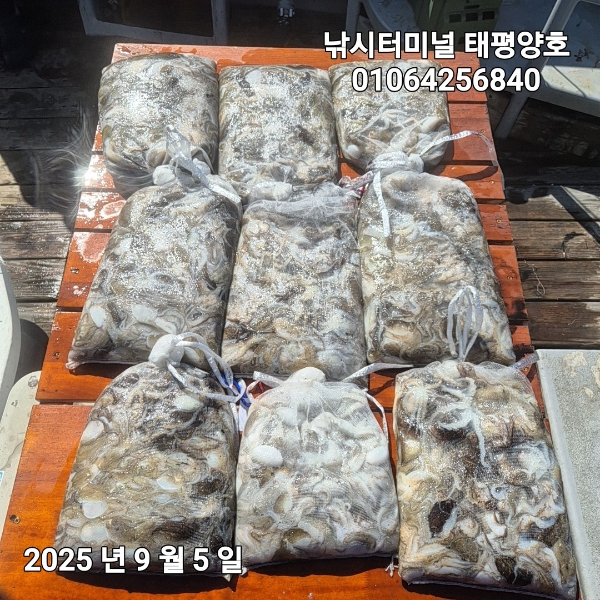 KakaoTalk_20250905_155213441_03.jpg
