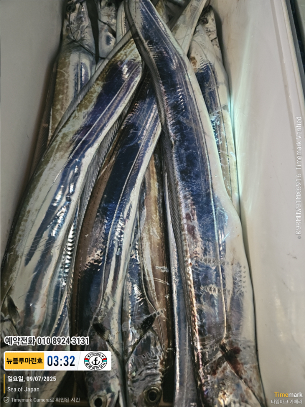 2025-09-07 03.32.14_Japan_(제목-뉴블루마린호)_(예약전화 010 8924 3131).jpg