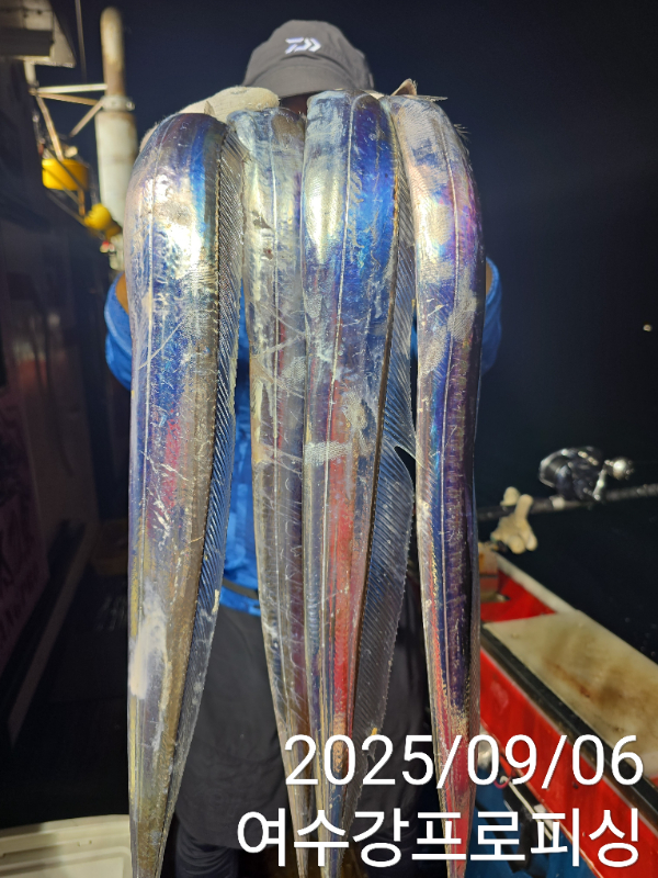 2b2359ed603cdf1ca968b0a38f13fae3.jpg