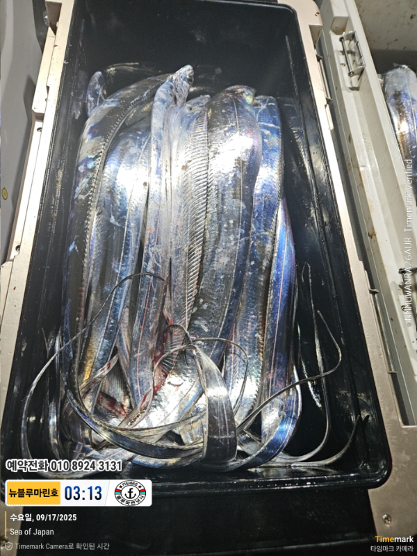 2025-09-17 03.13.54_Japan_(제목-뉴블루마린호)_(예약전화 010 8924 3131).jpg