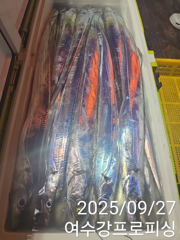 2b6ca9a2dace1a880dd167cd3318f7e1.jpg
