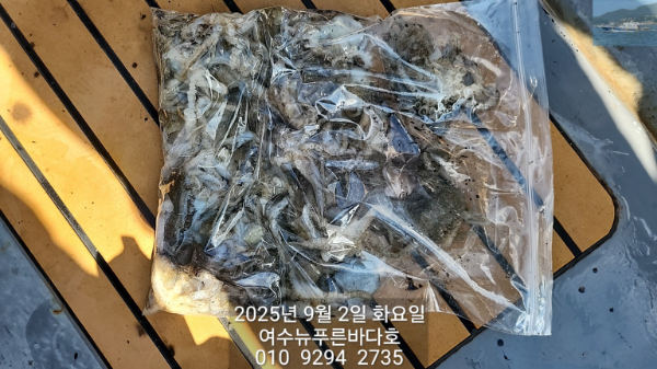 2ba7ae85e57173a85b7cc6cb00bdd91a.jpg