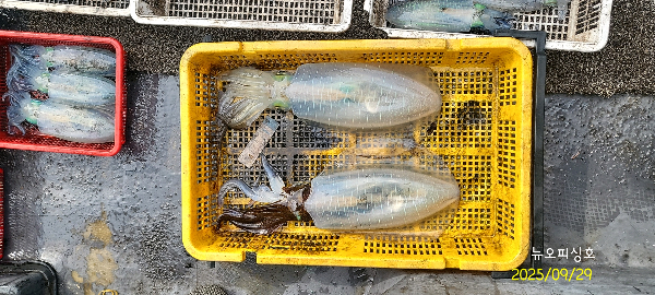 DateCamera0929100236.jpg