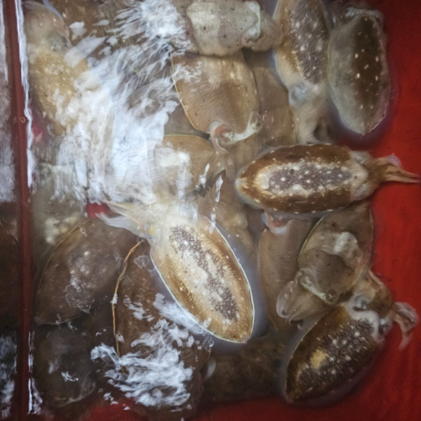 마검포 대한호(VIP)_사진_20250919_3.jpg