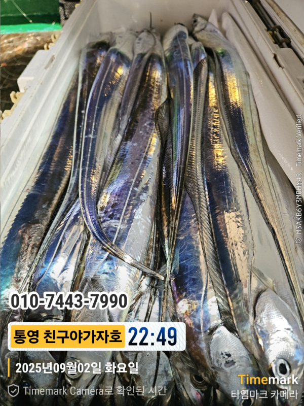 1000027275.jpg